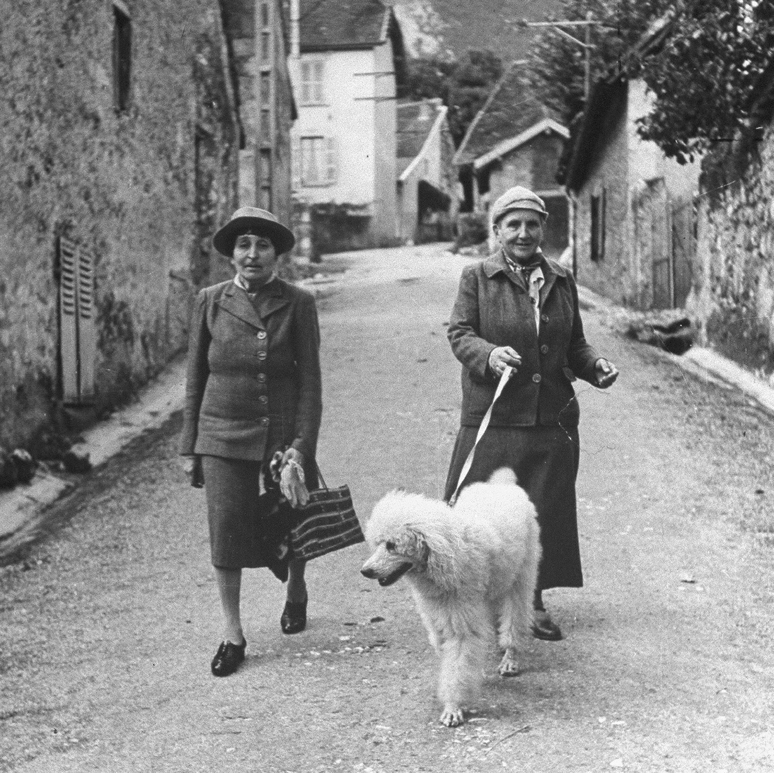 Gertrude Stein, de la grădinărit la literatură