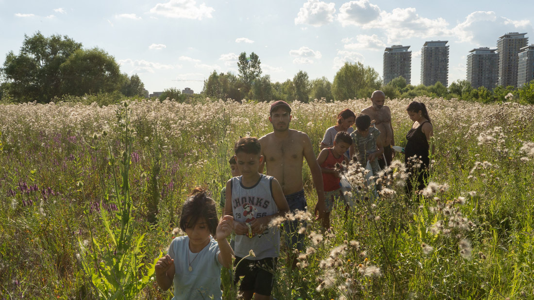 Paradisul din Delta Văcărești. Apusul unei lumi