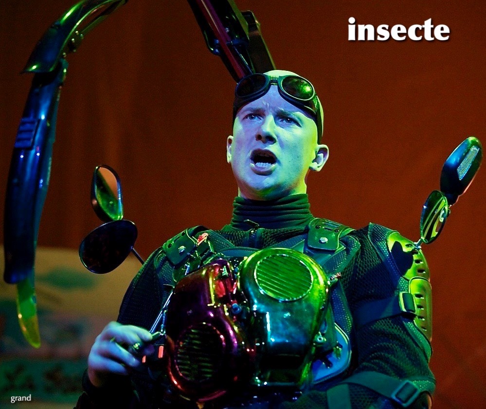 „Insecte”, musical cu oameni și gâze, în weekend